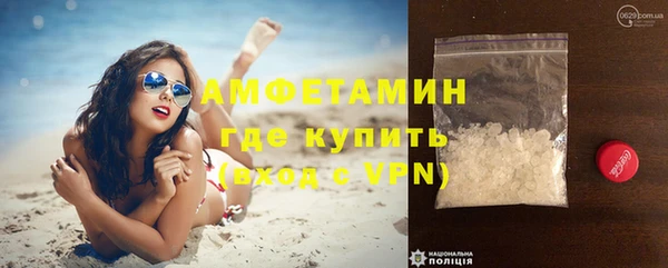 индика Горно-Алтайск