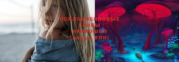 индика Горно-Алтайск