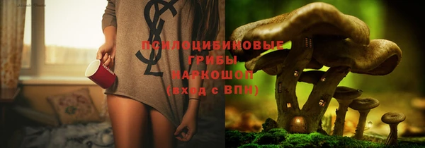 спайс Горнозаводск