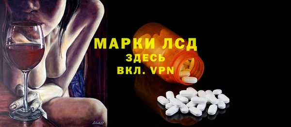 индика Горно-Алтайск