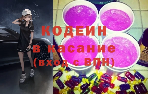 индика Горно-Алтайск
