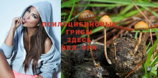 спайс Горнозаводск