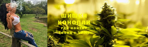 индика Горно-Алтайск