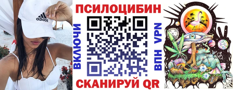 Псилоцибиновые грибы мицелий  Купить закладки  Красавино 